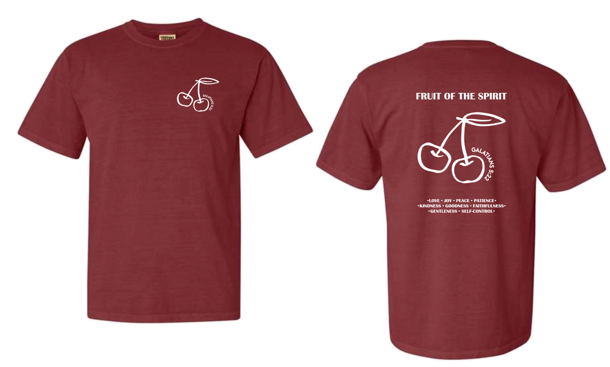 Fruit of the spirit Shirt