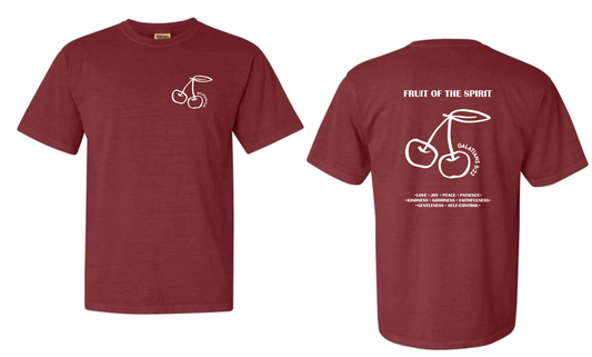 Fruit of the spirit Shirt